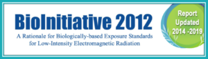 The Updated BioInitiative 2012 Report (2014-2019)